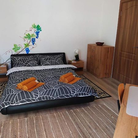 Дом За Гости Осогово Apartment Kyustendil Ngoại thất bức ảnh