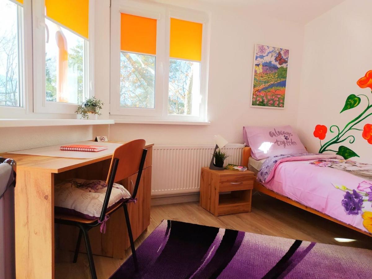 Дом За Гости Осогово Apartment Kyustendil Ngoại thất bức ảnh